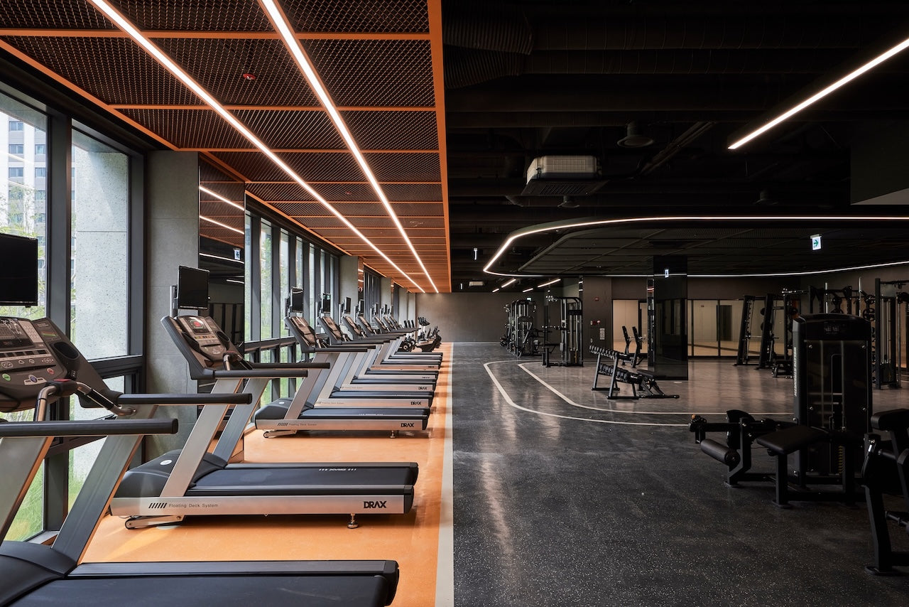 Travel Gym